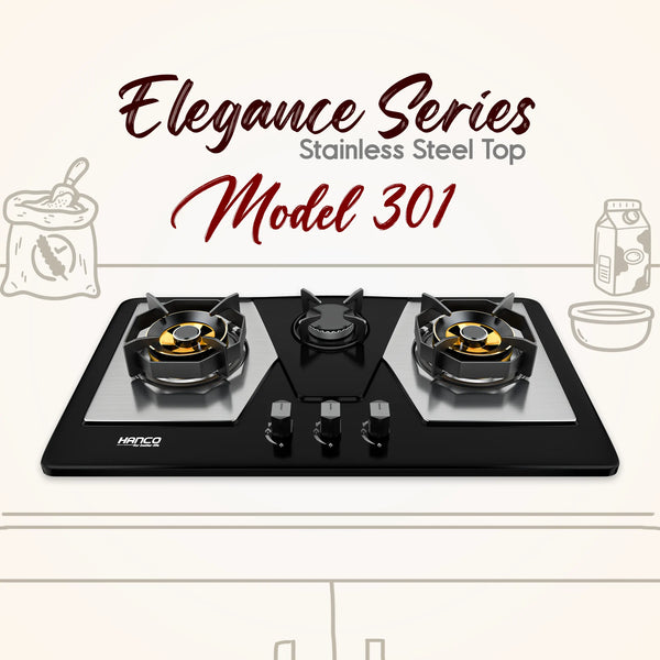 Model 301